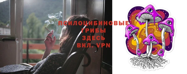 прущая мука Богородицк