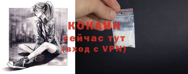 твердый Богданович