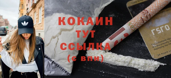 твердый Богданович