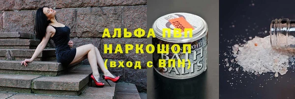 твердый Богданович