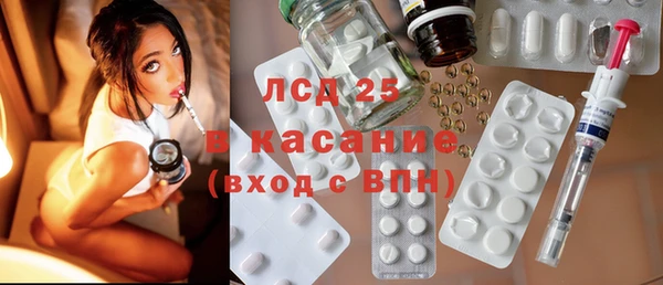 твердый Богданович