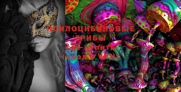 твердый Богданович
