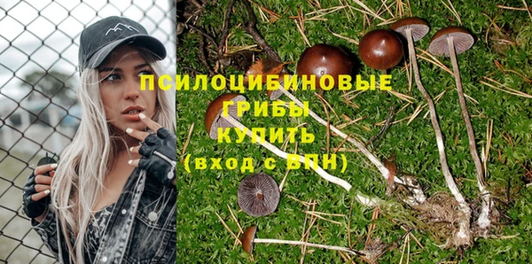 твердый Богданович